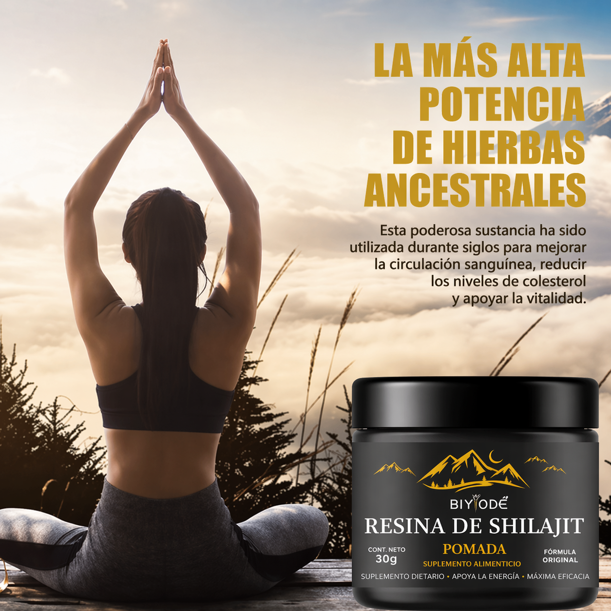Shilajit Resin Himalaya Premium – Energía Natural y Vitalidad Máxima